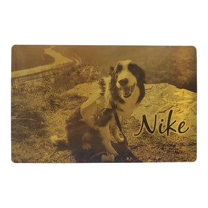 Modern Metallic 4" x 6" Pet Photo Prints - Brushed Gold