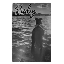 Load image into Gallery viewer, Brushed Silver Aluminum Photo with Pet&#39;s Name