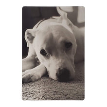Load image into Gallery viewer, Modern Metallic 4&quot; x 6&quot; Pet Photo Prints - Brushed Silver